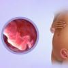 Токсикоз при беременности: причины и лечение Рвота на 13 неделе