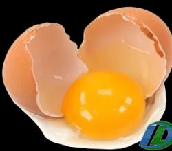 Сырые яйца 10 яиц в день для набора мышечной массы